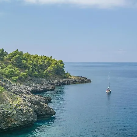 Awesome In Praia Mare With Wifi Praia a Mare